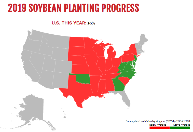 Soybean Planting Progress