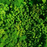 Benefits-of-Carbon-Offsets