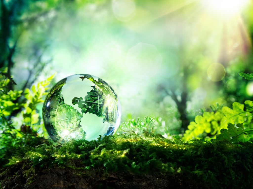 An Earth Globe in the Forest