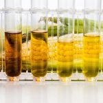 Corn generated ethanol biofuel with test tubes on white background