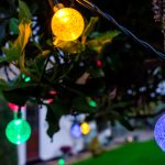 colorful string lights hang from a tree